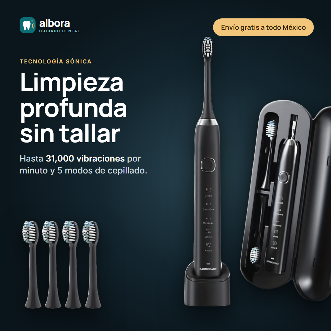 Cepillo sónico S100 negro con estuche y cabezales: limpieza profunda sin tallar